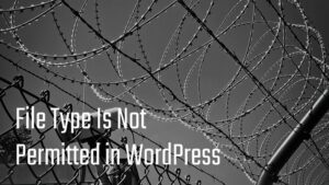 How to Fix “Sorry, This File Type Is Not Permitted for Security Reasons” - WordPress